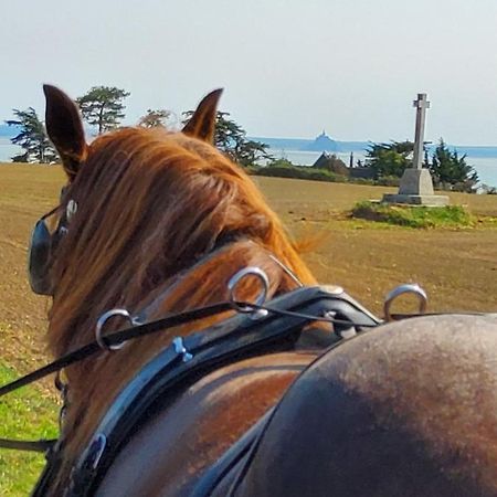 Chez Jollyjune, A Moins D'Une Heure Du Mont Saint Michel Champeaux Luaran gambar